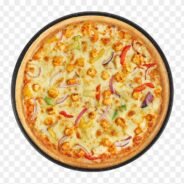 239-2399767_in-paneer-and-onion-pizza-clipart